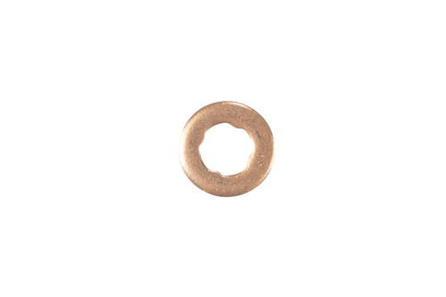 Sealing ring heat - ring, protection