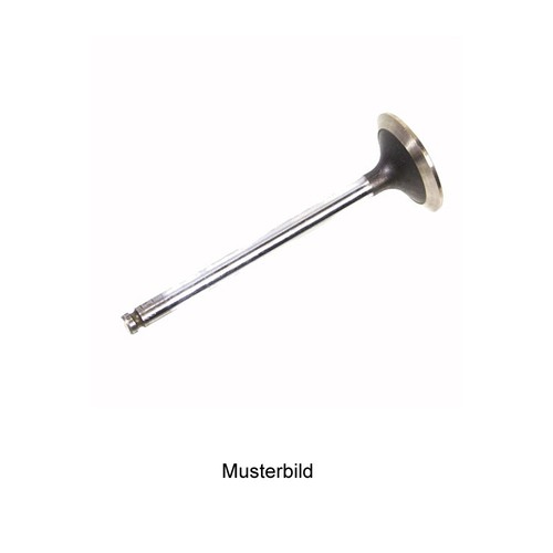 Inlet valve 46750859